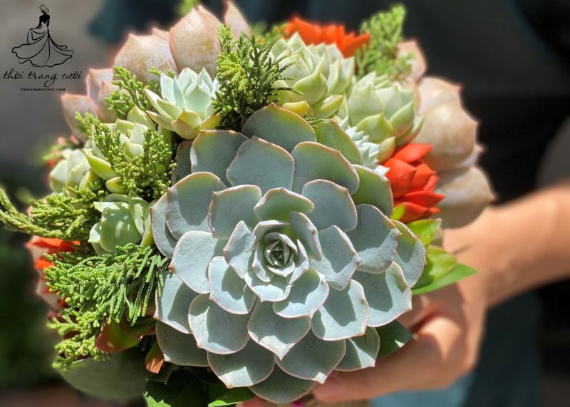 hoa cầm tay cô dâu sen đá