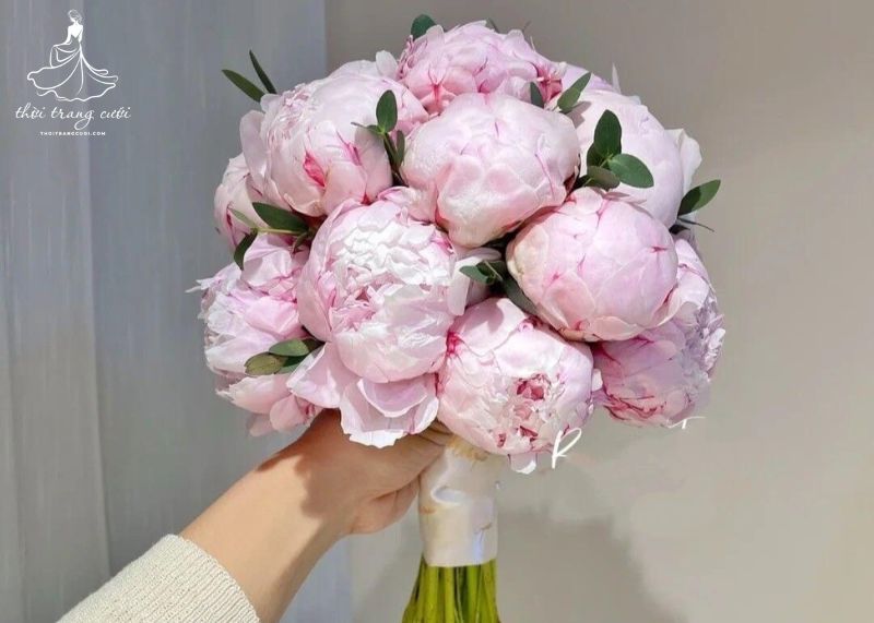 Quốc sắc thiên hoa Mẫu Đơn được phát hiện từ các nước Trung Đông