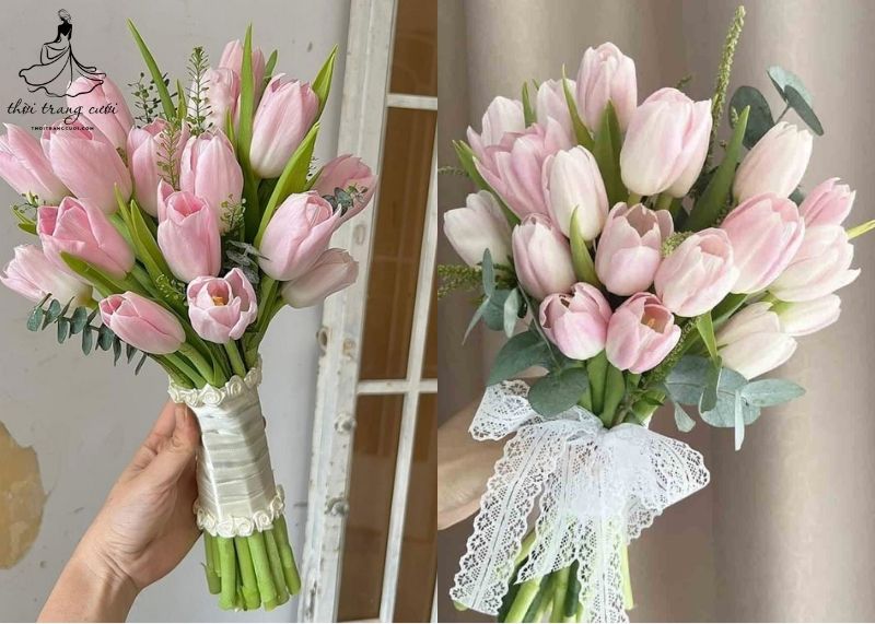 Hoa Tulip hồng
