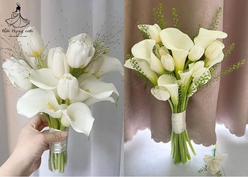 Hoa Calla Lily