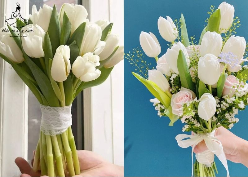 Hoa Tulip trắng