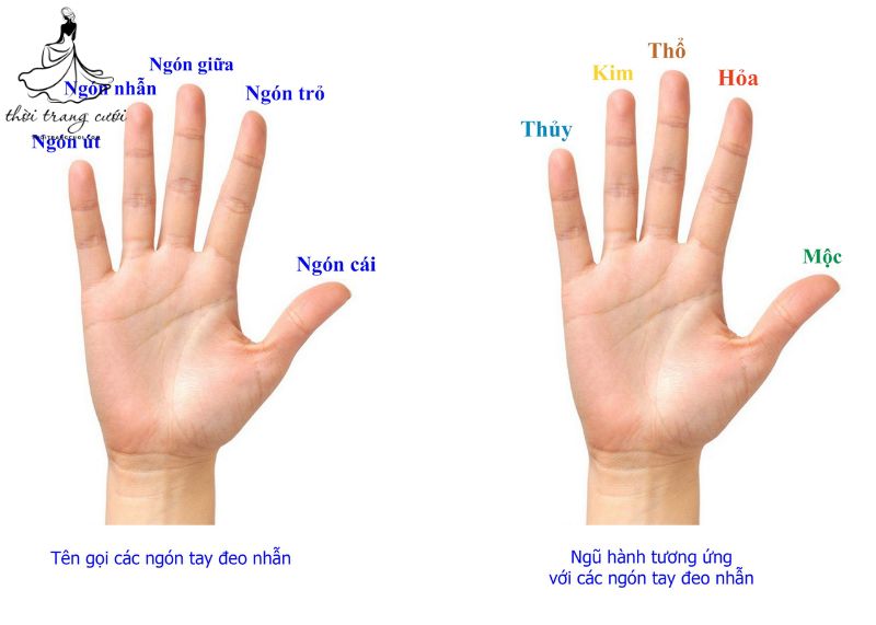 Chọn nhẫn hợp mệnh, ngũ hành