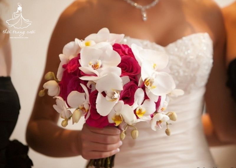 Khám phá vẻ đẹp quý phái của hoa cưới lan hồ điệp