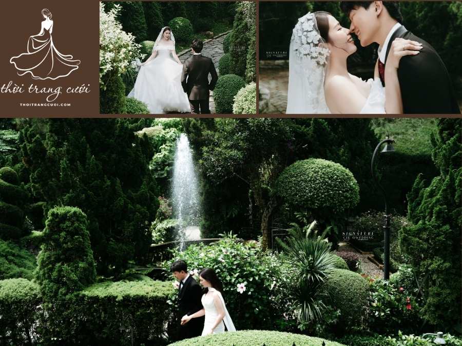 Q Wedding Studio nổi tiếng với chụp ảnh cưới phong cách Hàn Quốc