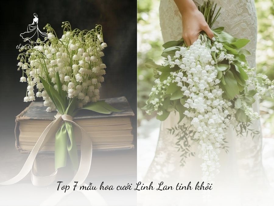 hoa cưới Linh Lan