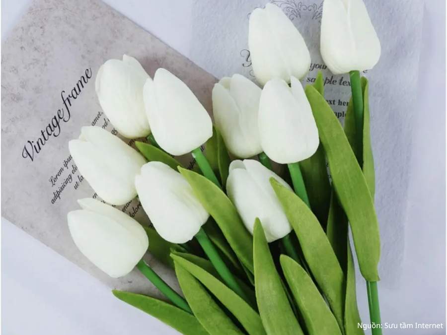  Các mẫu hoa tulip trong lễ cưới
