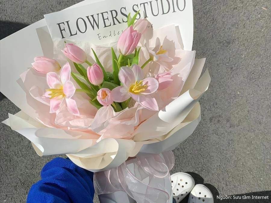 Tulip hồng mang thông điệp yêu thương chân thành
