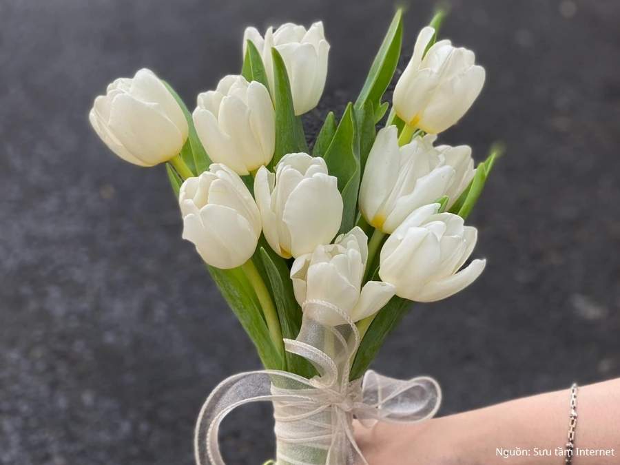 Hoa cưới tulip vàng tượng trưng cho hạnh phúc
